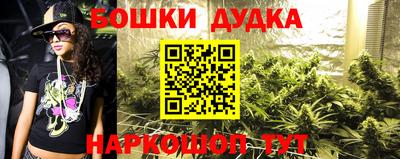 дживик Моздок