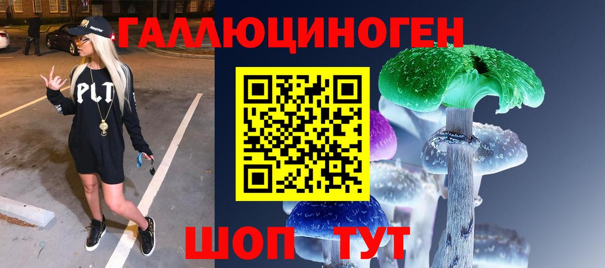 Псилоцибиновые грибы GOLDEN TEACHER Усть-Джегута