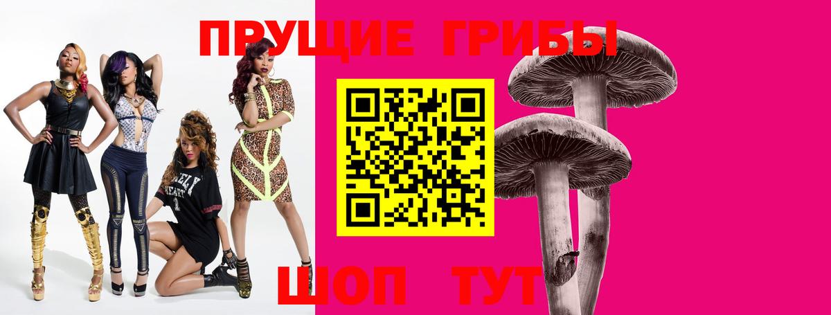 Усть-Джегута  Галлюциногенные грибы прущие грибы  Вход с VPN 